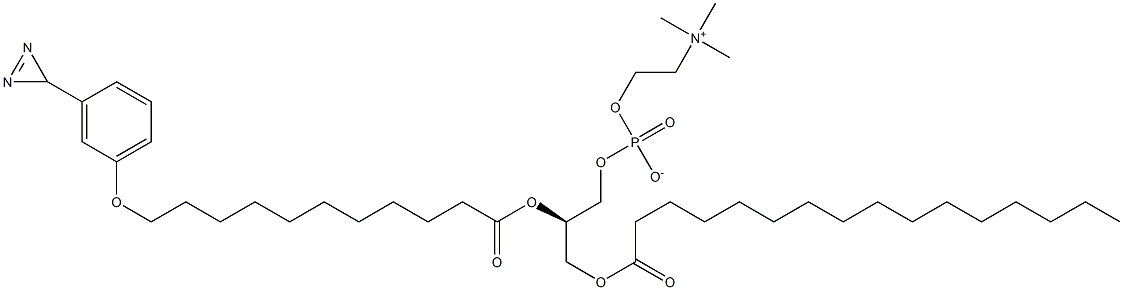 (R)-7-[[11-[3-(3H-双吖丙啶-3-基)苯氧基]-1-氧代十一烷基]氧基]-4-羟基-N,N,N-三甲基-10-氧代-3,5,9-三氧杂-4-磷杂二十五烷-1-铵内盐 4-氧化物 结构式