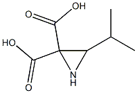 3,3-Oxaziridinedicarboxylicacid,2-(1-methylethyl)-(9CI) 结构式