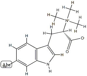 L-6-bromohypaporphine 结构式