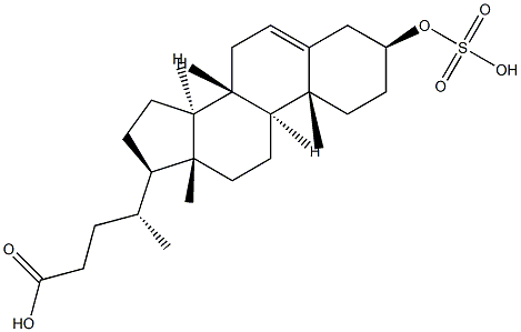3-hydroxy-5-cholen-24-oic acid 3-sulfate ester 结构式