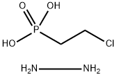 Hydrel Structure