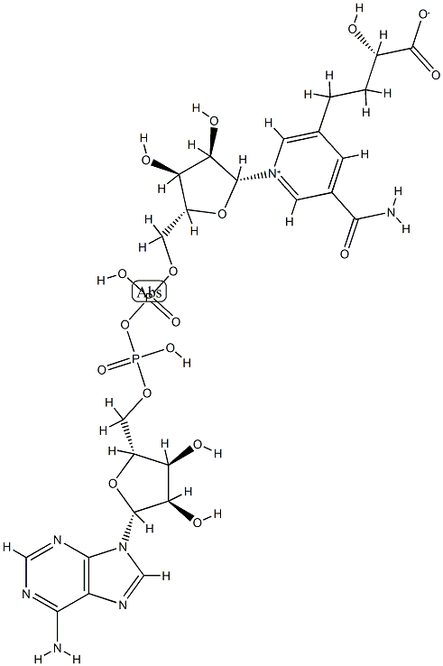 5-(3-carboxy-3-hydroxypropyl)nicotinamide adenine dinucleotide Structure