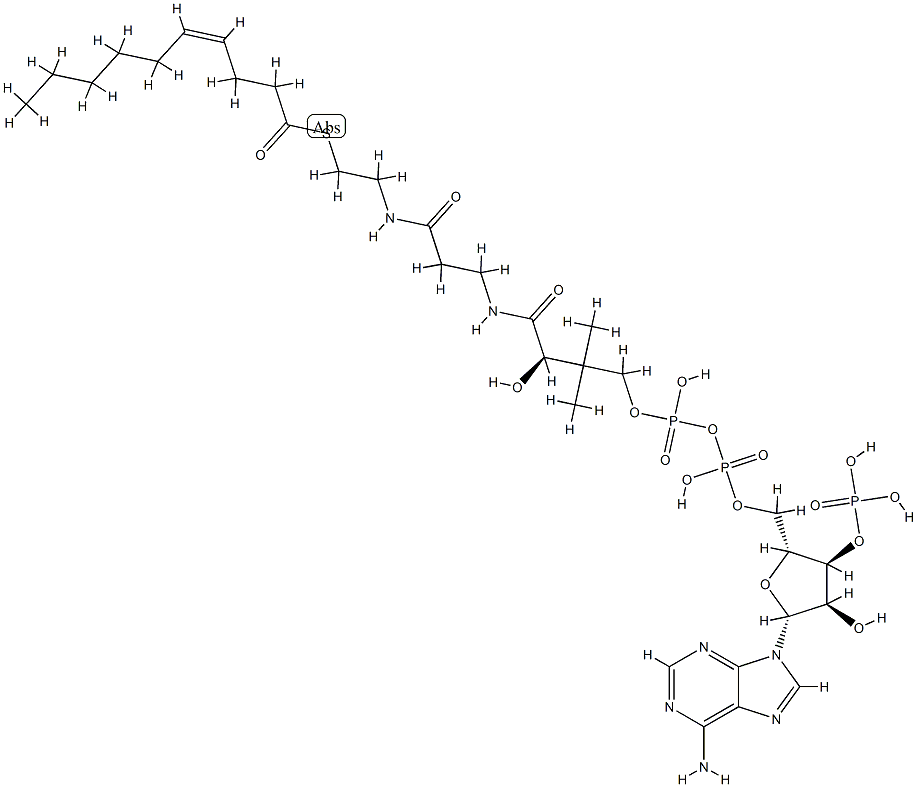 4-cis-Decenoyl-CoA 结构式