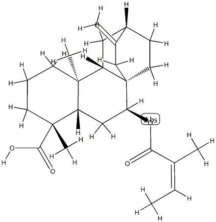 (4R,5β,8α,9β,10α,12α)-7β-[[(Z)-2-Methyl-1-oxo-2-butenyl]oxy]atis-16-en-18-oic acid 结构式
