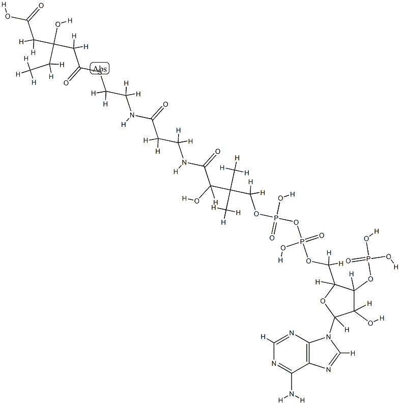 3-hydroxy-3-ethylglutaryl-coenzyme A 结构式