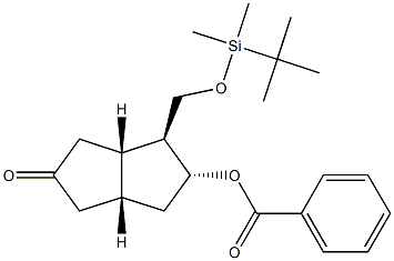 [3AS-(3A,4,5,6A)]-(9CI)-5-(苄酰氧基)-4-[[[(1,1-二甲基乙基)二甲基硅基]氧]甲基]六氢-2(1H)-戊酮 结构式