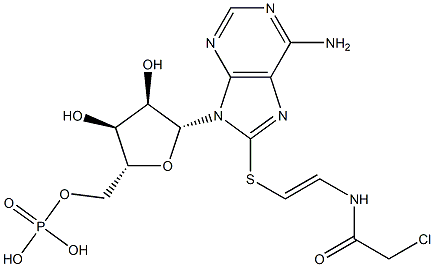 8-(chloroacetylaminoethylthio)cyclic AMP 结构式