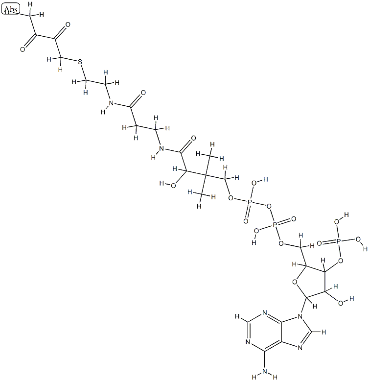 4-bromo-2,3-dioxobutyl-coenzyme A|