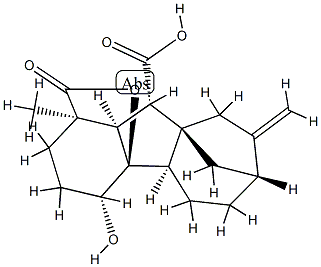 4β,4aα-Dihydroxy-1β-methyl-8-methylenegibbane-1α,10β-dicarboxylic acid 1,4a-lactone 结构式