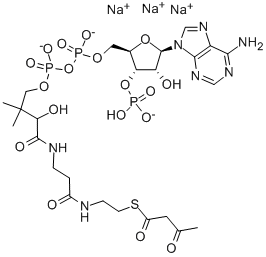 乙酰乙酰辅酶A, 102029-52-7, 结构式