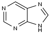Purine Structure