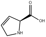 3,4-脱氢-L-脯氨酸 结构式