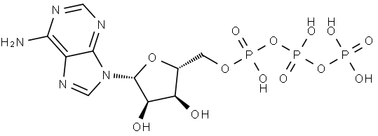 Adenosine triphosphate Structure