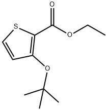 3-tert-Butoxy-2-thiophenecarboxylic acid ethyl ester 结构式