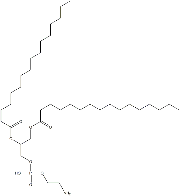 1,2-DIHEXADECANOYL-RAC-GLYCERO-3-PHOSPHOETHANOLAMINE 结构式
