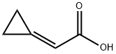 2-环亚丙基乙酸, 5687-73-0, 结构式
