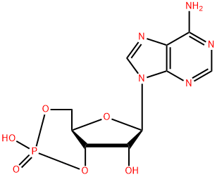 环磷酸腺苷 结构式