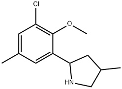 Pyrrolidine, 2-(3-chloro-2-methoxy-5-methylphenyl)-4-methyl- (9CI) 结构式