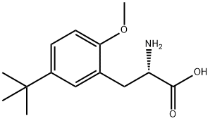 DL-5-(1,1-Dimethylethyl)-2-methoxyphenylalanine 结构式