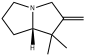 1H-Pyrrolizine,hexahydro-1,1-dimethyl-2-methylene-,(7aS)-(9CI) 结构式