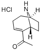 (+)-ANATOXIN A HYDROCHLORIDE 结构式