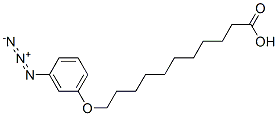 omega-(3-azidophenoxy)undecanoic acid 结构式
