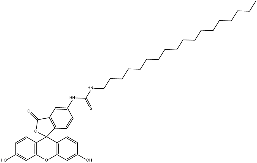 N`-十八烷基荧光素-5-硫脲 结构式