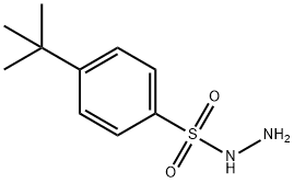 4-叔丁基苯磺酰肼 结构式