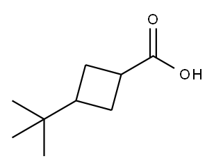 3-tert-Butylcyclobutanecarboxylic acid 结构式