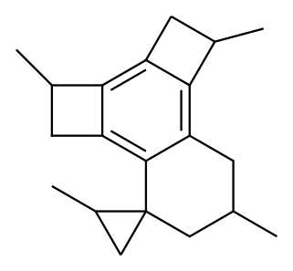 Benzene, 1,2-dimethyltetrapropylene- 结构式