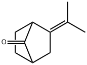2-(1-Methylethylidene)bicyclo[2.2.1]heptan-7-one Structure