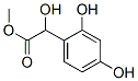 methyl 2,4-dihydroxyphenylglycolate|