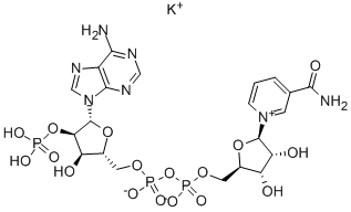 NADP MONOPOTASSIUM SALT|腺嘌呤二核苷酸磷酸单钾盐二水合物