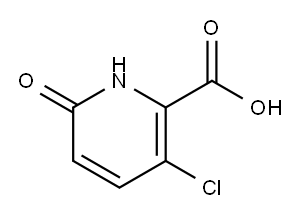 3-Chloro-6-oxo-1,6-dihydro-pyridine-2-carboxylic acid|[3-氯-6-氧代-1,6-二氢-吡啶-2-羧酸]