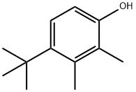 4-(1,1-Dimethylethyl)-2,3-dimethylphenol 结构式