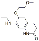 N-[3-(Ethylamino)-4-(2-methoxyethoxy)phenyl]propanamide 结构式