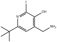 4-(aminomethyl)-6-(1,1-dimethylethyl)-2-iodo-3-pyridinol 结构式