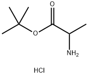 DL-丙氨酸叔丁酯盐酸盐 结构式