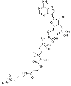 ACETYL COENZYME A, [ACETYL-1,2-14C] 结构式