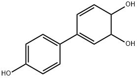 3,5-Cyclohexadiene-1,2-diol, 4-(4-hydroxyphenyl)- (9CI) Structure