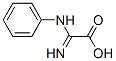 Acetic acid, imino(phenylamino)- (9CI) Structure