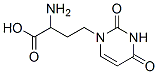 1-(3'-amino-3'-carboxypropyl)uracil 结构式