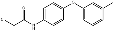 2-CHLORO-N-[4-(3-METHYLPHENOXY)PHENYL]ACETAMIDE 结构式