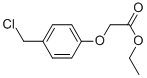 (4-CHLOROMETHYL-PHENOXY)-ACETIC ACID ETHYL ESTER 结构式