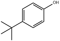 4-叔丁基苯酚 结构式