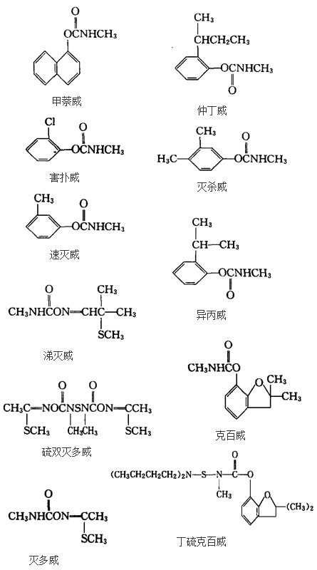 一些已知的氨基甲酸酯类杀虫剂的化学结构式