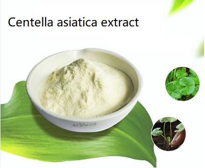 Centella asiatica extract